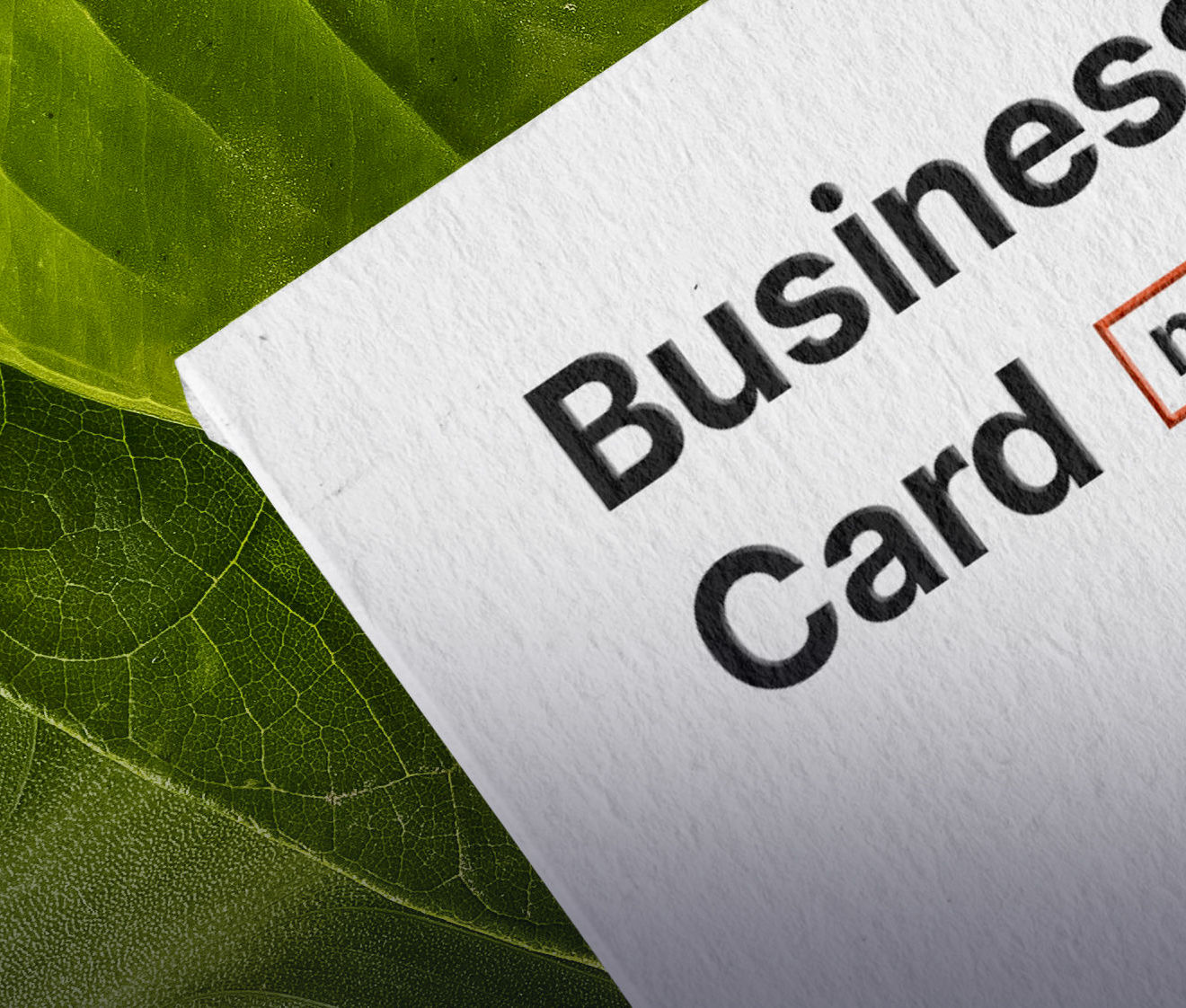 Green business card (Demo)